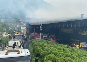 Rize’de özel bir çay fabrikasında yangın çıktı