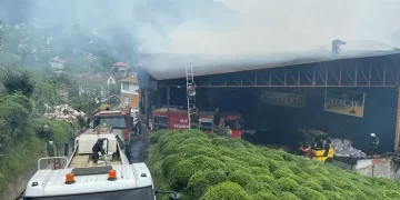 Rize’de özel bir çay fabrikasında yangın çıktı