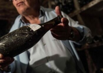 Fransa, şarap imhası için milyonlarca euro ayırma kararı aldı