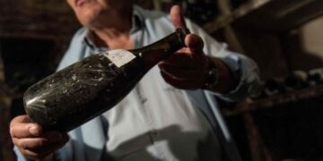 Fransa, şarap imhası için milyonlarca euro ayırma kararı aldı