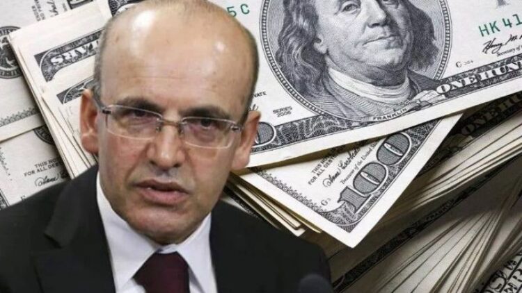 simsek doviz habermeydan