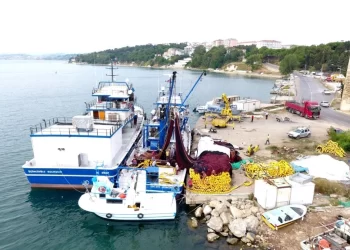 Sinop’lu balıkçılar 1 Eylül’e hazır