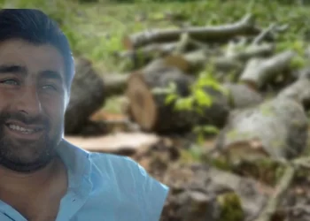 Sinop’ta kesilen ağacın altında kalan orman işçisi öldü
