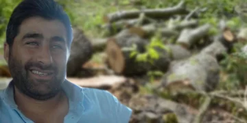 Sinop’ta kesilen ağacın altında kalan orman işçisi öldü