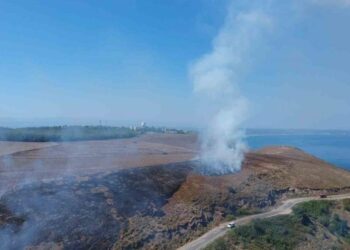 Sinop’ta makilik alanda yangın çıktı