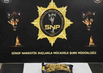 Sinop’ta şüpheli bir şahsın üzerinden esrar çıktı