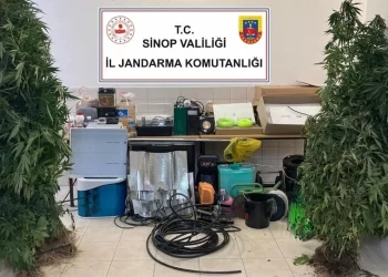 Sinop’ta uyuşturucu tacirlerine operasyon