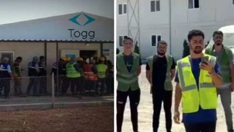 togg grev habermeydan