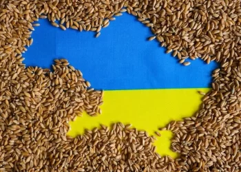 Ukrayna’nın saldırısı sonrasında tahıl fiyatları yükseldi