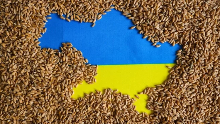 ukrayna tahil habermeydan