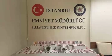İstanbul Sultanbeyli’de uyuşturucu operasyonu
