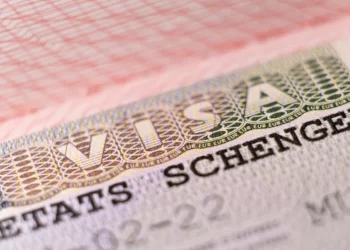 Cumhurbaşkanı Başdanışmanı Kılıç’tan vize açıklaması geldi