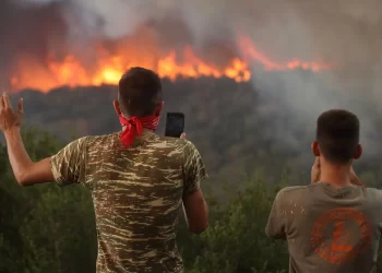 Yunanistan’da orman yangınlarını başlattığı iddia edilen 140 kişi gözaltına alındı