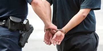 8 ilde dolandırıcılık operasyonu! 29 kişi gözaltına alındı