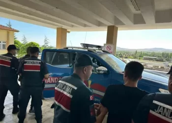 Jandarmadan uyuşturucu operasyonu