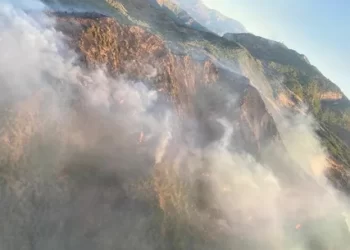 Muğla’nın Köyceğiz ilçesinde orman yangını