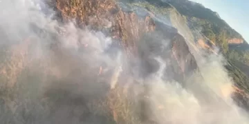 Muğla’nın Köyceğiz ilçesinde orman yangını