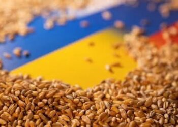 AB, Ukrayna’nın tahıl ürünlerine uyguladığı yasağı kaldırıyor