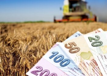 Tarım ve Orman Bakanlığı müjdeledi: Çiftçi destek ödemeleri hesaplara yatırılıyor!