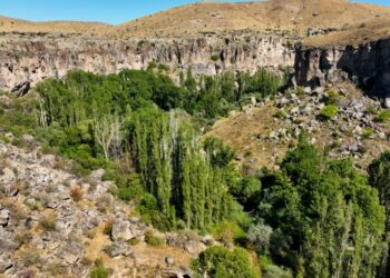 Bakan Özhaseki: Ihlara Vadisi’nde yeni türler tespit edildi