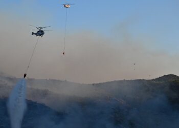 İzmir’de büyük orman yangını!
