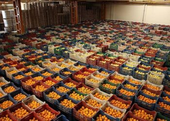 8 ayda yaş meyve ve sebze ihracatı 2 milyar doları geçti