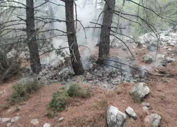 Muğla’da 1 günde meydana gelen yıldırım darbeleri sonucu 36 yangın oluştu