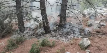 Muğla’da 1 günde meydana gelen yıldırım darbeleri sonucu 36 yangın oluştu