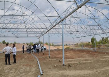 Muş Belediyesi kendi serasında çiçek yetiştirecek