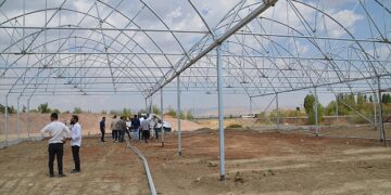 Muş Belediyesi kendi serasında çiçek yetiştirecek