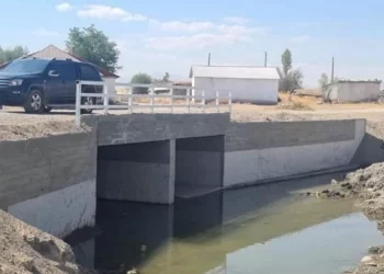 Muş Bulanık’ta yapımı tamamlanan köprü törenle hizmete açıldı