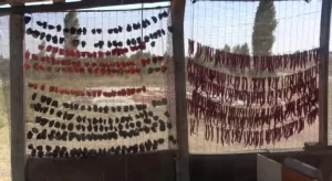 mus lu ciftciler ata tohumundan urettikleri sebzeleri kurutarak satiyorlar habermeydan