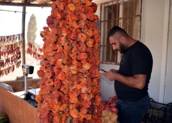 Muş’lu çiftçiler ata tohumundan ürettikleri sebzeleri kurutarak satıyorlar