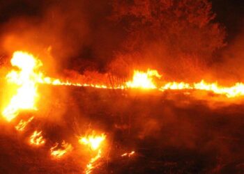 Muş Varto’da çıkan anız yangını söndürüldü