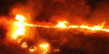 Muş Varto’da çıkan anız yangını söndürüldü