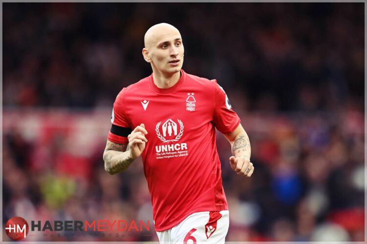 shelvey 1