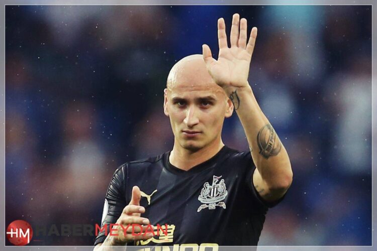 shelvey 2