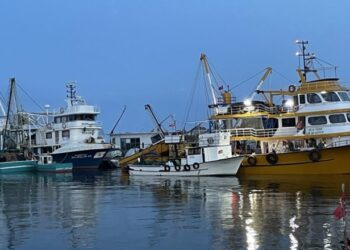 Sinop’lu balıkçılar ilk avdan mutsuz döndü