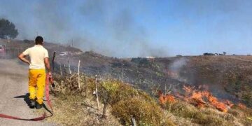 Sinop’taki yangında 10 dönüm alan zarar gördü