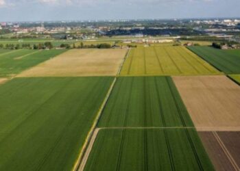 Anne ve babadan miras kalan arazi, toprak ve bağ sahiplerine yeni devlet uygulaması