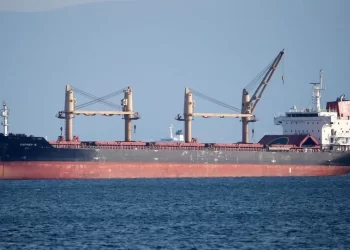 Ukrayna’ya yeni güzergahı kullanan ilk tahıl gemileri ulaştı