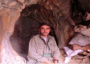 PKK’nın sözde Suriye genel asayiş sorumlusu Müzdelif Taşkın etkisiz hale getirildi