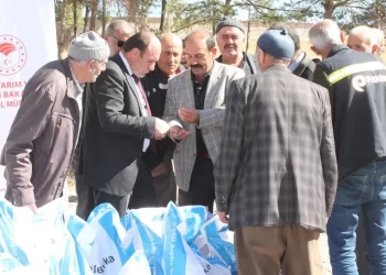 Devlet tarafından desteklenen buğday tohumları dağıtıldı