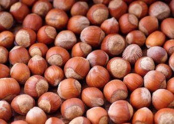 'Fındık fiyatı güncellensin' istemi ‘Fındık fiyatı güncellensin’ istemi