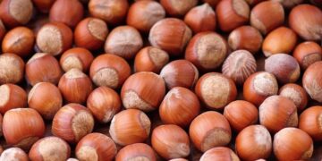 ‘Fındık fiyatı güncellensin’ istemi