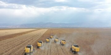 Muş’ta 34 bin dekar alanda ekilen ayçiçeğinin hasadına başlandı