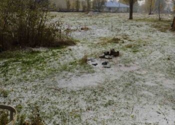 Muş Varto’da, dolu yağışı sele neden oldu!