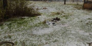 Muş Varto’da, dolu yağışı sele neden oldu!