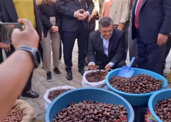 Sinop Erfelek’te 2. Kestane Festivali düzenlendi