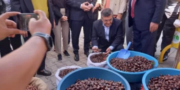 Sinop Erfelek’te 2. Kestane Festivali düzenlendi